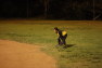 20120423065.jpg